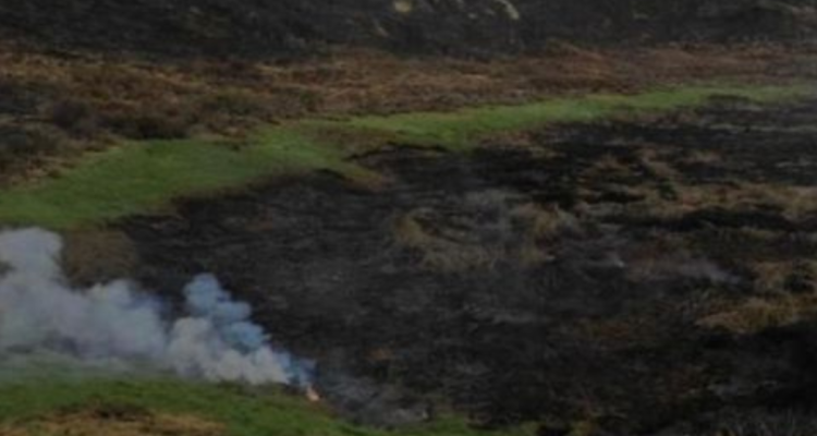 Alerta Roja Isla Pascua