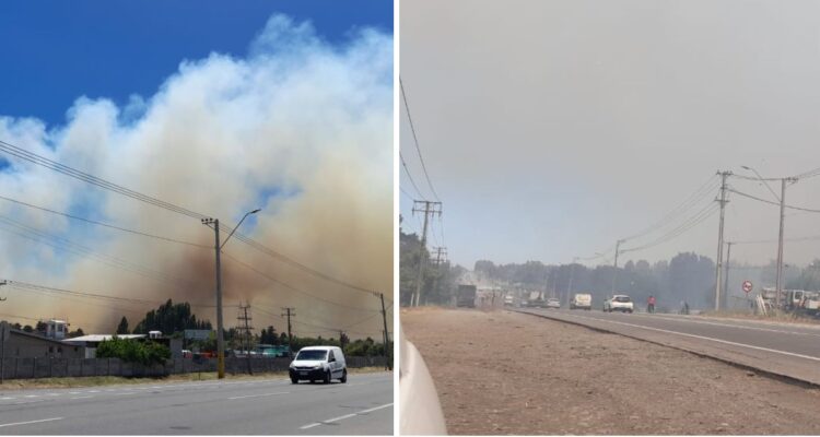 Declaran Alerta Roja para Los Ángeles por incendio forestal en El Avellanito