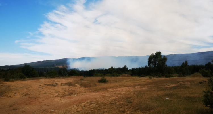 Declaran alerta roja para la comuna de Nacimiento por incendio forestal: van 10 hectáreas consumidas