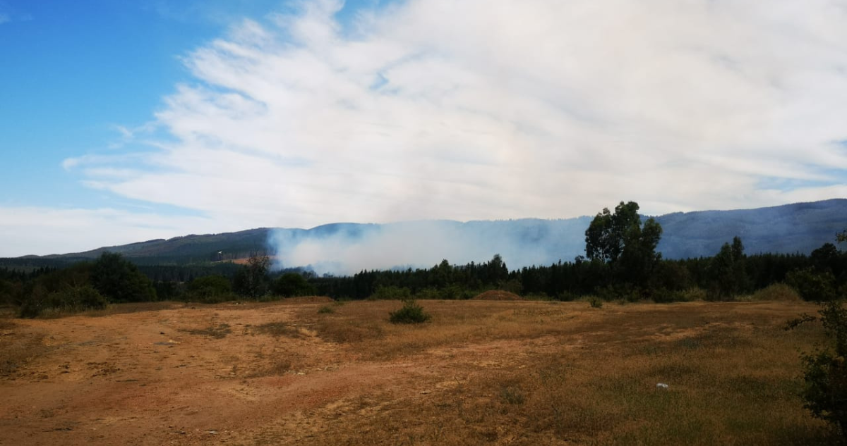 Declaran alerta roja para la comuna de Nacimiento por incendio forestal: van 10 hectáreas consumidas