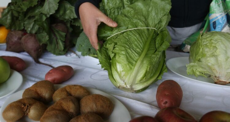 Gobierno reitera que analiza ayudas sociales luego que canasta básica mostrara alza histórica