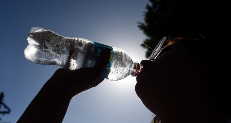 altas temperaturas en región de Magallanes