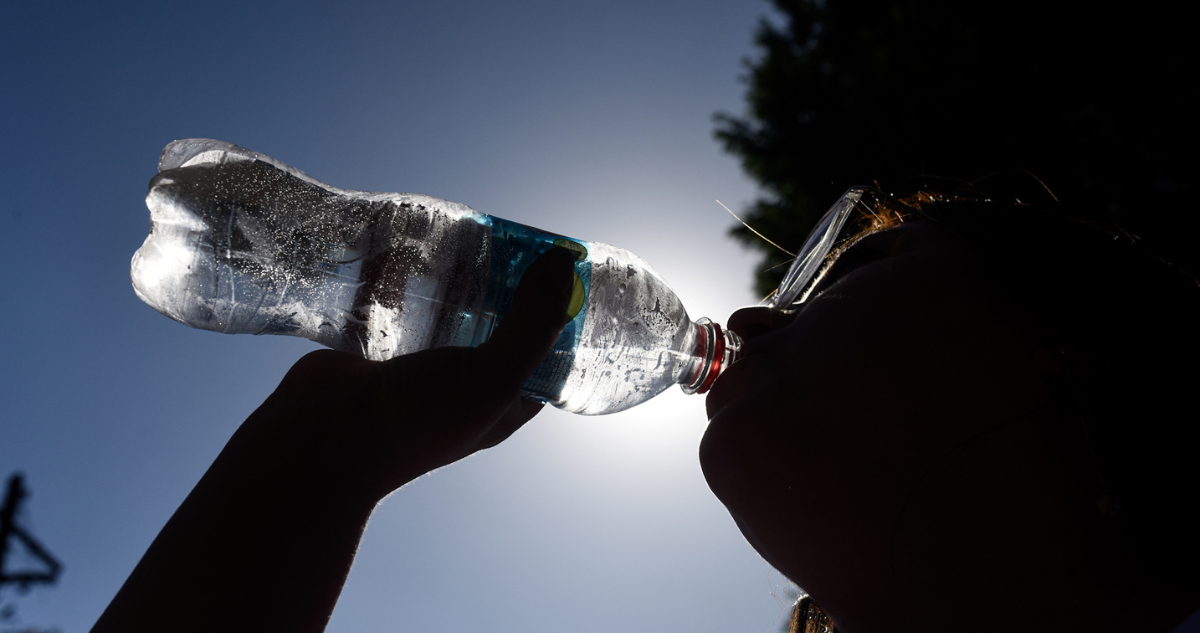 altas temperaturas en región de Magallanes