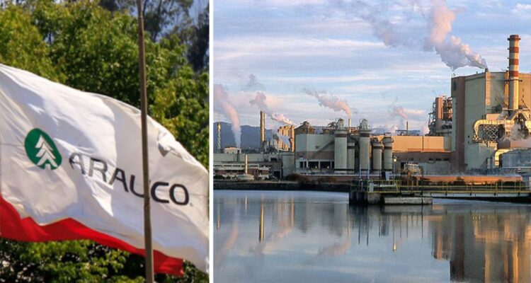 Celulosa Arauco deberá pagar multa de $4.000 millones por incumplimientos en planta de Valdivia