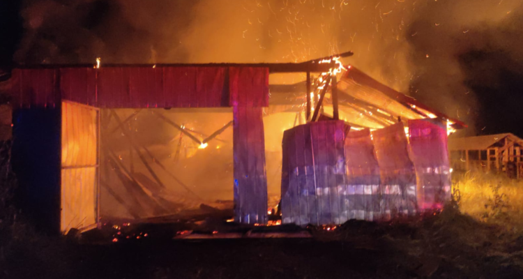 Un galpón destruido deja ataque incendiario en comuna de Lanco: Fiscalía solicitó diligencias a PDI