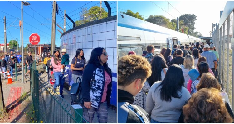 @EFE_Biotren – @ro_gallegos | Twitter
