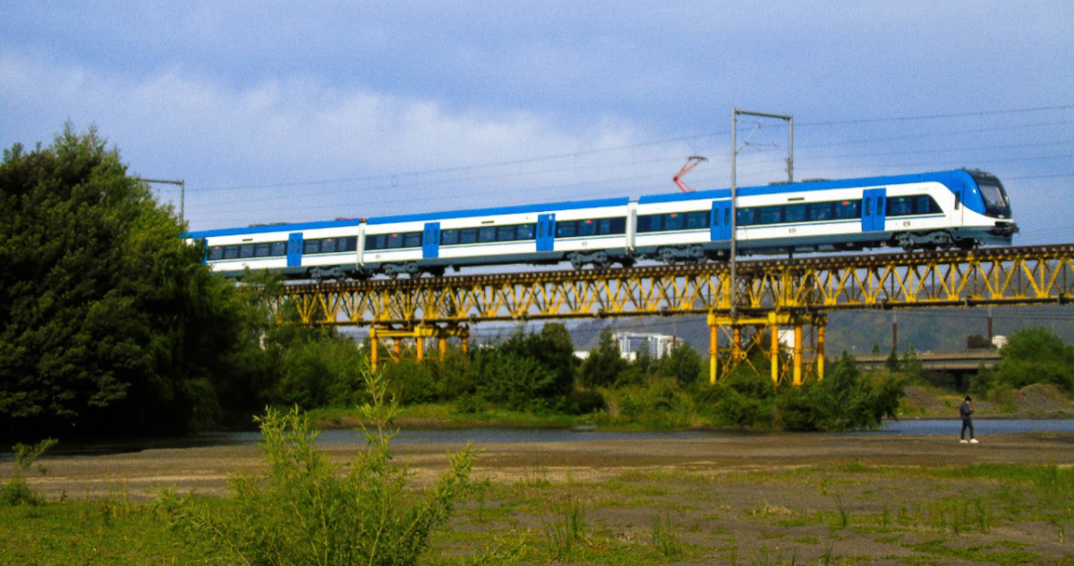 Revelan imágenes del enorme tronco que afectó al Puente Ferroviario: reparación tardará 60 días