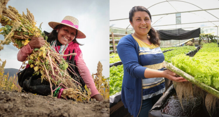 Chile será anfitrión de importante reunión continental para la agricultura familiar campesina