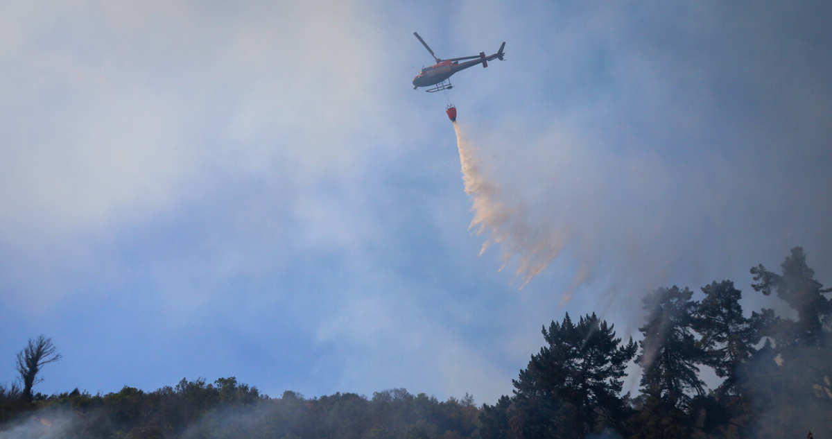 Suspenden clases en jardines infantiles de Melipilla por incendio forestal