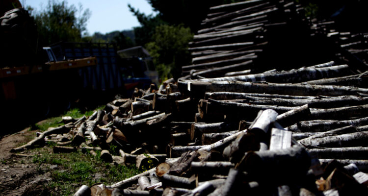 Comisión investigadora de la Cámara no pudo establecer vínculo entre robo de madera y causa mapuche