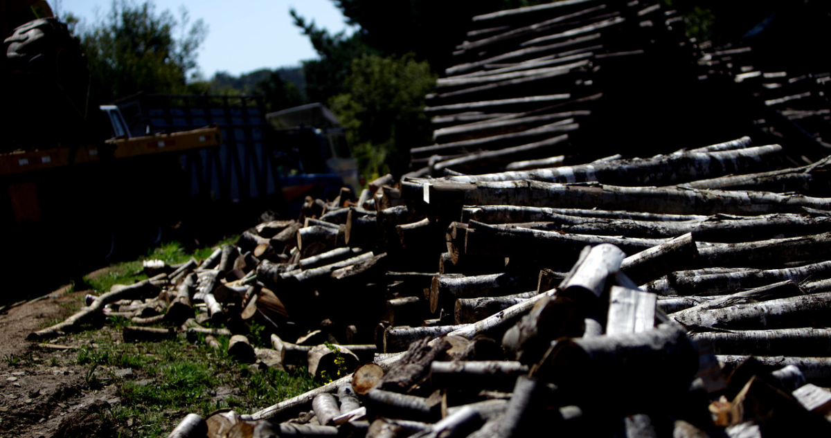 Comisión investigadora de la Cámara no pudo establecer vínculo entre robo de madera y causa mapuche