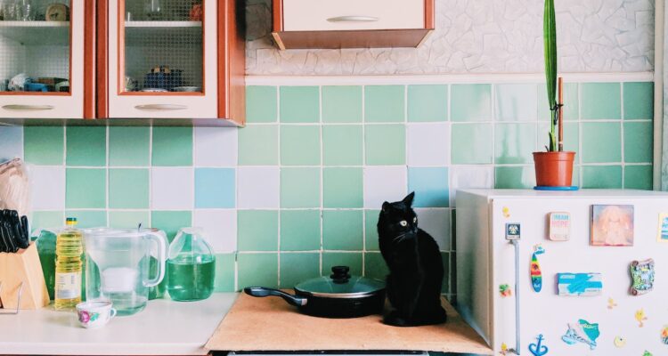 Cosas que nunca deberías poner encima del refrigerador