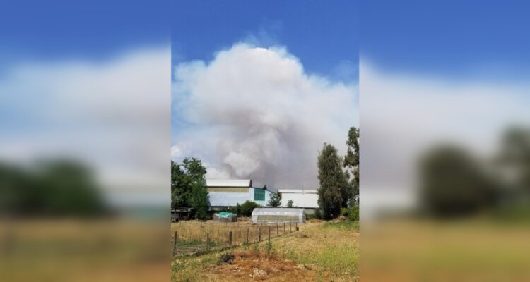 Declaran Alerta Roja por incendio forestal en Mostazal