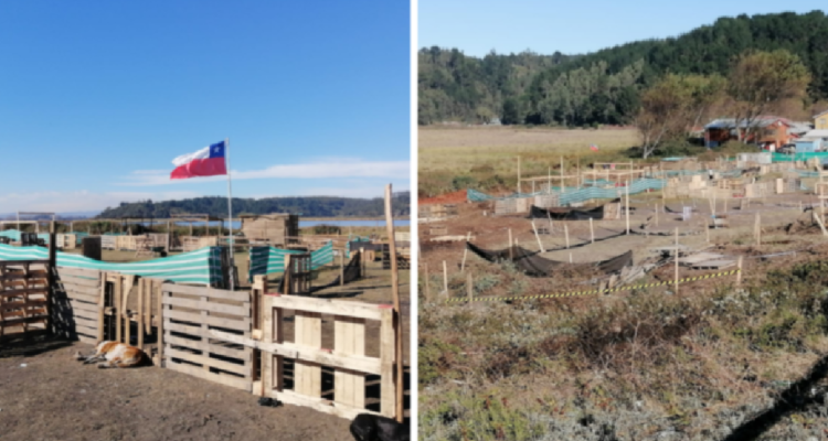 Polémica por desalojo en Hualpén: alcalde se enfrenta al Serviu por relocalización de toma