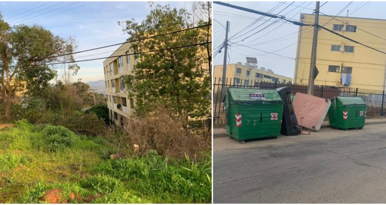 MULTAN A VECINA TRAS DESMALEZAR EN VIÑA DEL MAR