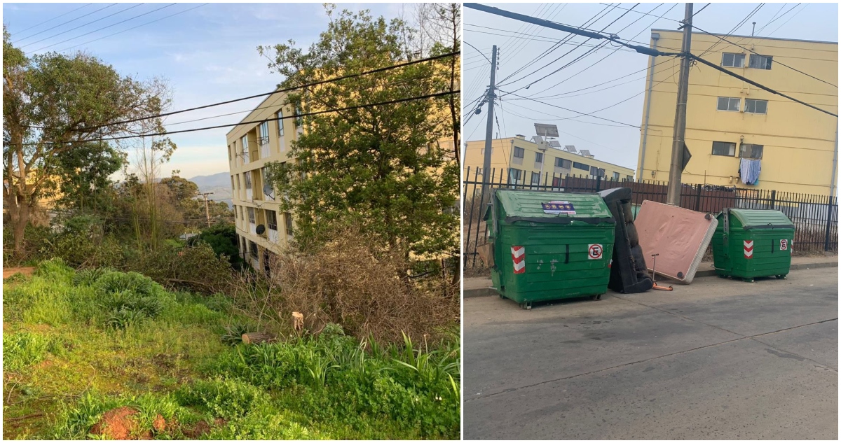 MULTAN A VECINA TRAS DESMALEZAR EN VIÑA DEL MAR