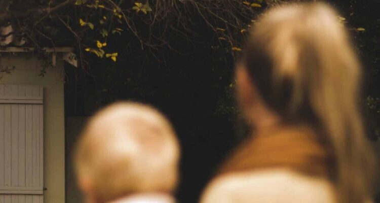 Detalle de la portada