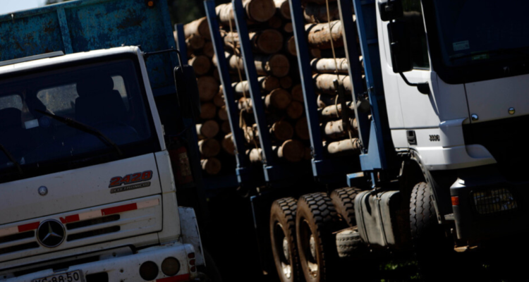 Detenidos por robo de madera en Arauco