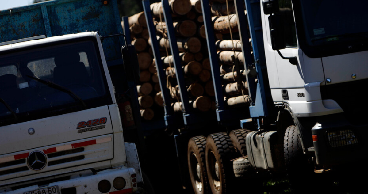 Detenidos por robo de madera en Arauco