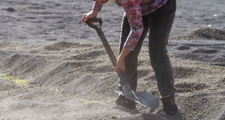 Día Internacional del voluntario