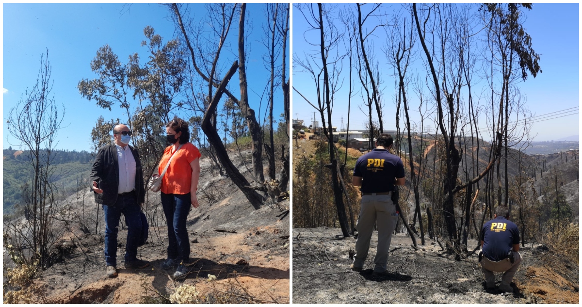 Diligencias por incendio en Viña del Mar