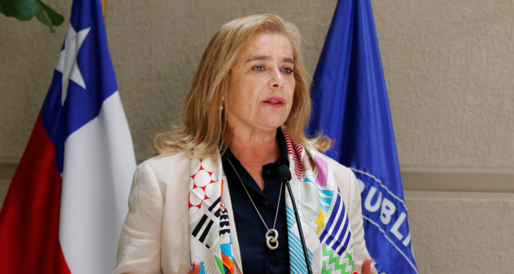 Diputada pide que se aumenten sanciones para quienes se toman terrenos ilegales