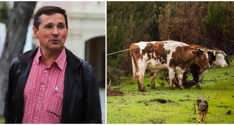 Diputado Jorge Rathgeb denuncia abigeato