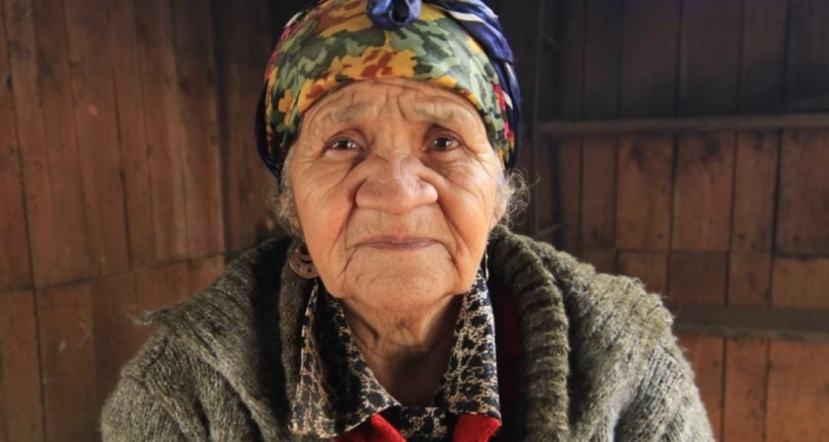 Dominga Neculmán Tesoro Humano