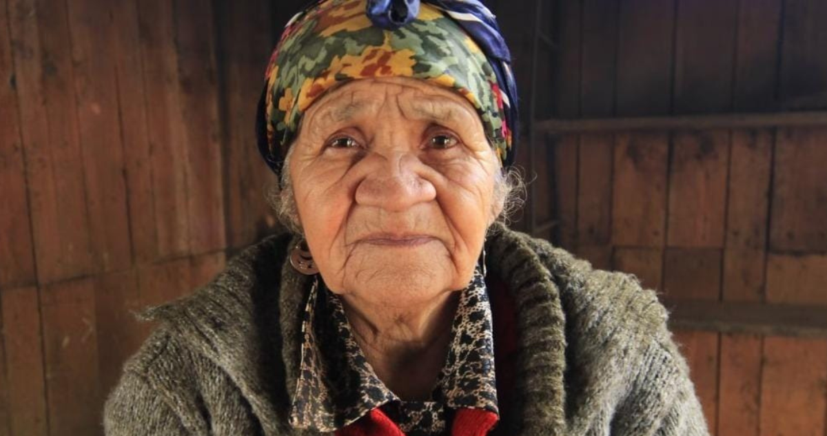 Dominga Neculmán Tesoro Humano