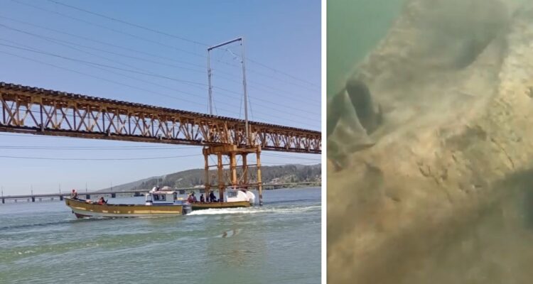 EFE logra retirar tronco que dañó a cepa 11 de viaducto del Puente Ferroviario Bío Bío