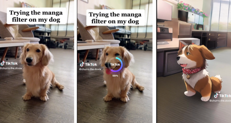 Capturas de TikTok de como se usa el filtro en una perro