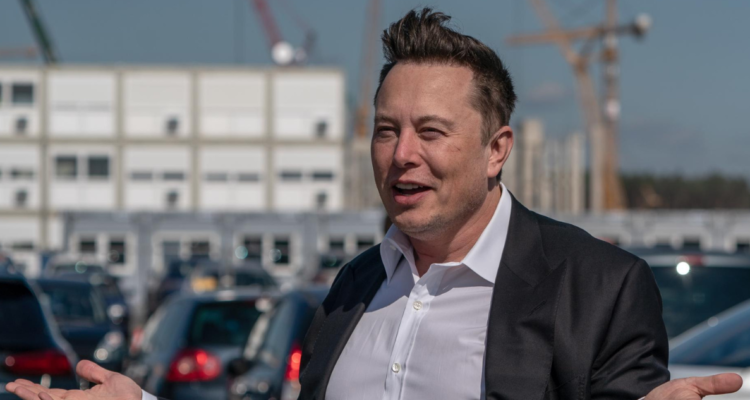 chip cerebral Elon Musk