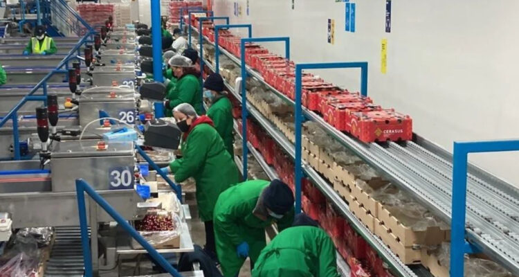 Al menos 14 trabajadores con malestares deja emergencia química en empresa frutícola de San Fernando