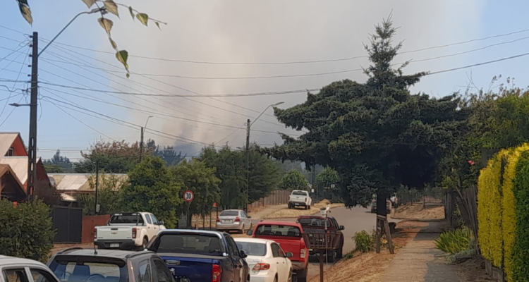 evacuación Lumaco incendio forestal