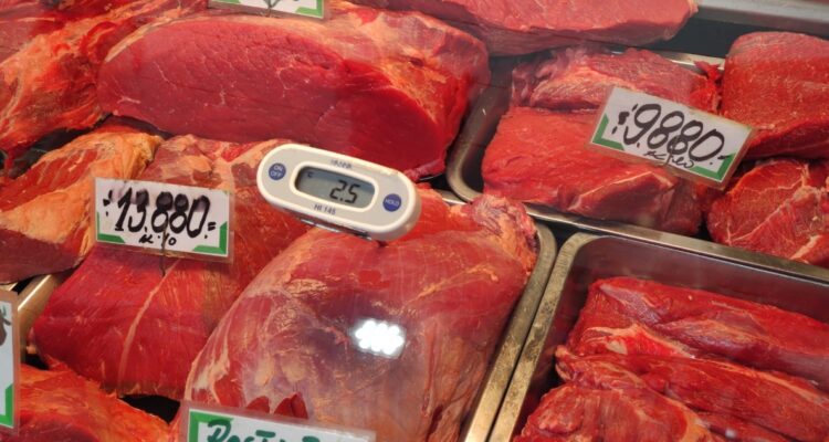 Fiscalización de carnes seremi de salud
