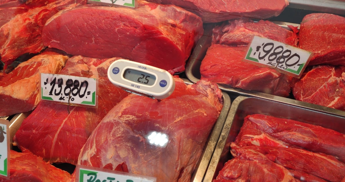 Fiscalización de carnes seremi de salud