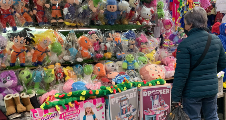 Fiscalizaciones a juguetes de Osorno