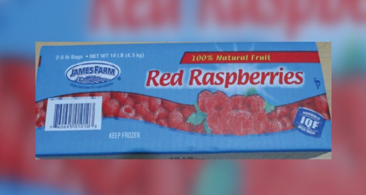 EEUU retira del mercado más de mil cajas de frambuesas chilenas por riesgo de hepatitis A
