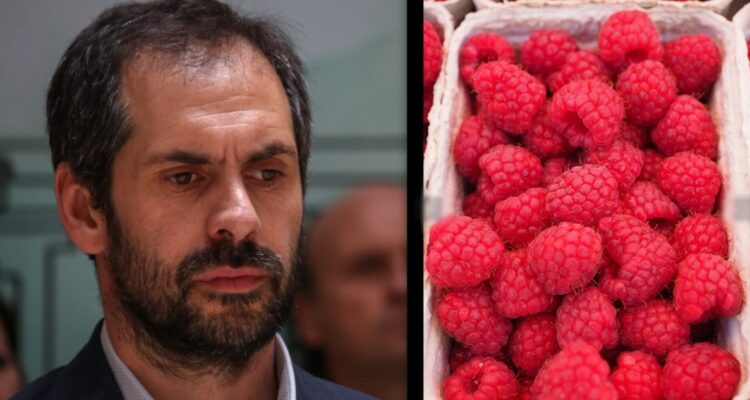 Gobierno pedirá detalles luego que EEUU retirara frambuesas chilenas del mercado por riesgo a salud