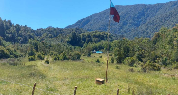 Gobierno evita hablar de desalojo de predio fiscal tomado por comunidad huilliche en Puerto Montt