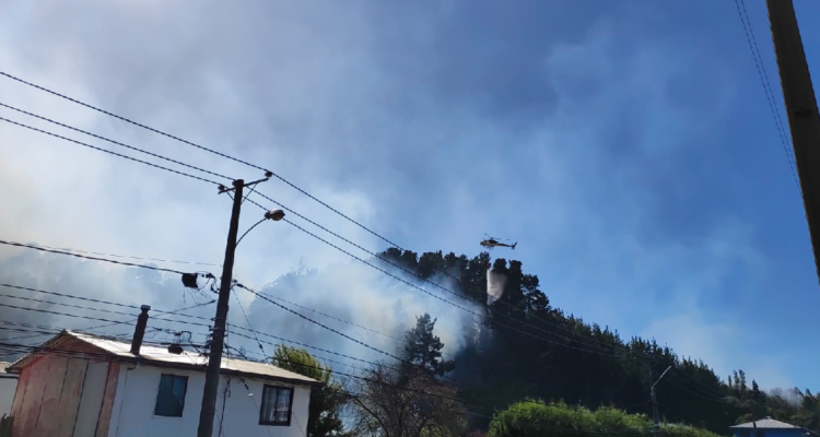 Superficie afectada por incendio en Chiguayante llega a 50 hectáreas: no hay daños en viviendas
