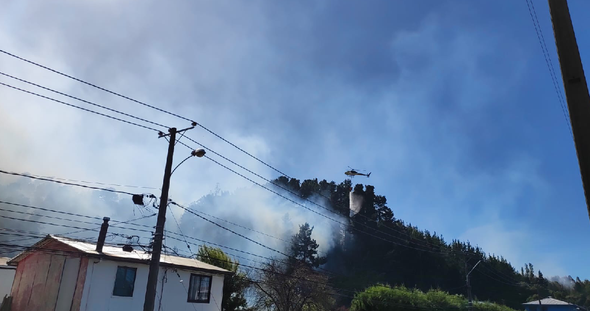 Superficie afectada por incendio en Chiguayante llega a 50 hectáreas: no hay daños en viviendas