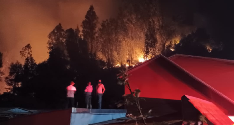 Combaten con helicópteros incendio en Chiguayante y Hualqui: no hay viviendas afectadas