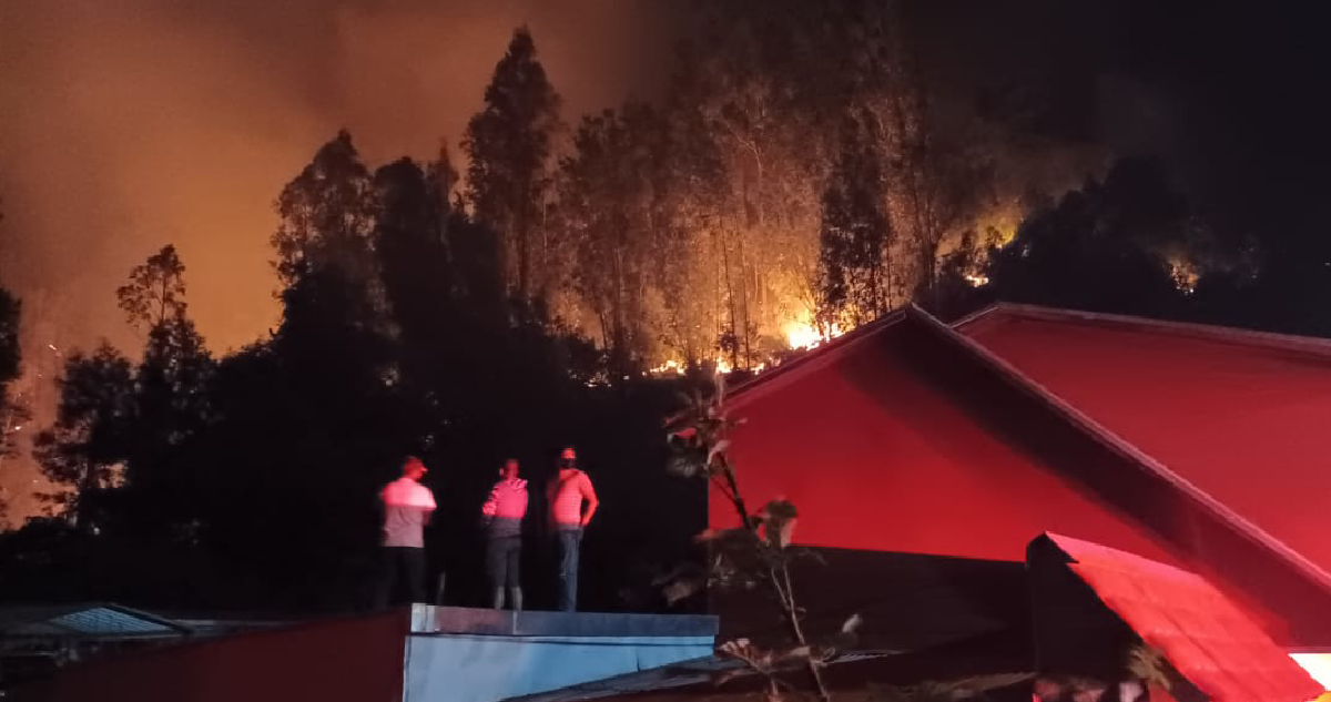 Combaten con helicópteros incendio en Chiguayante y Hualqui: no hay viviendas afectadas
