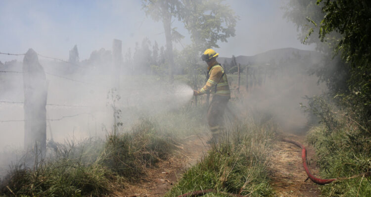 Intenso combate a incendio forestal en Laja: comuna en Alerta Roja por amenaza a viviendas