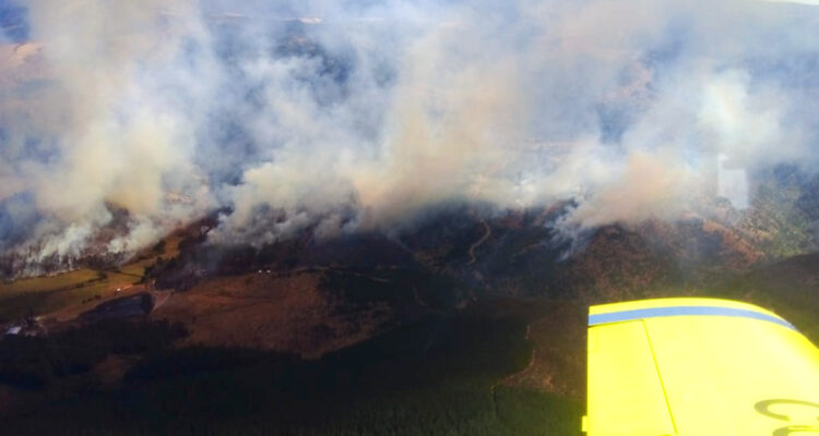 Onemi declara Alerta Roja para Lumaco por incendio forestal de “rápida propagación”