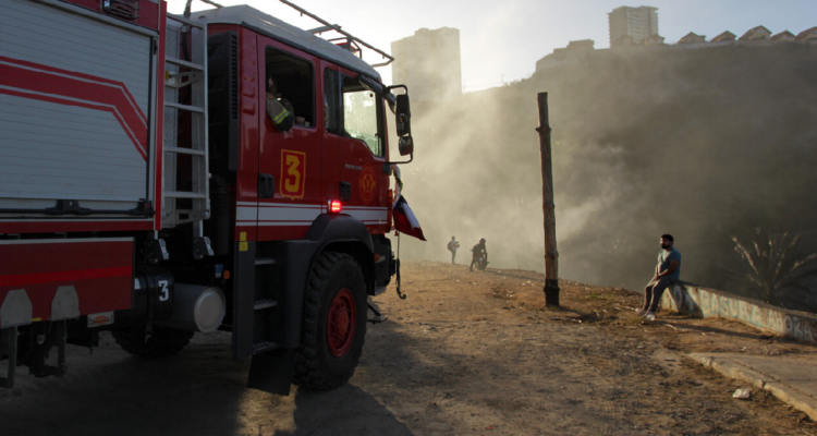 Balance de incendio en Viña del Mar: autoridades cifran en 317 las viviendas afectadas