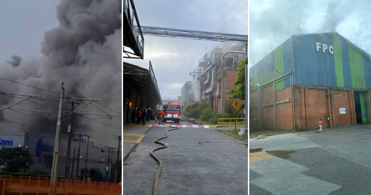 Incendio afecta a fábrica de papel en Ruta 160: bomberos de Coronel, Lota y San Pedro combaten llamas