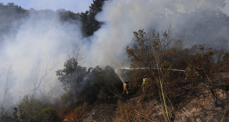 Onemi declara Alerta Roja para Melipilla por incendio forestal cercano a zonas pobladas