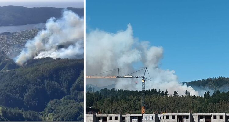 Decretan Alerta Roja para Chiguayante y Hualqui por incendio forestal